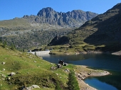 DALLE BAITE DI MEZZENO AL MONTE TONALE mt. 2.425 il 10 settembre 2011) - FOTOGALLERY